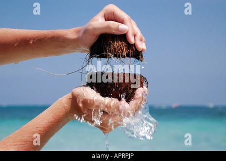 Öffnen Sie Kokosnüsse und Kokos fließt ins Meer Stockfoto