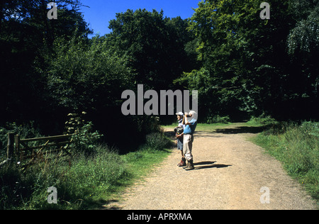 Vogelbeobachter am Nagshead Nature Reserve, Wald des Dekans, Gloucestershire, England, UK Stockfoto