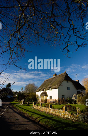 Reetdachhaus am Tarrant Monkton in Dorset, Großbritannien Stockfoto