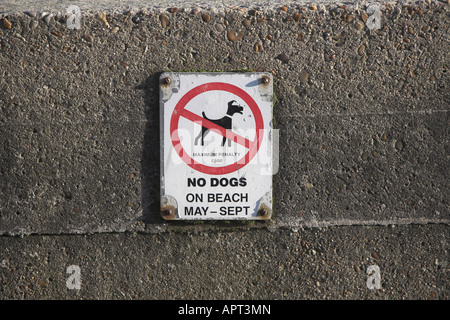 Schild an Wand Verbot Hunde am Strand von Mai bis September Stockfoto
