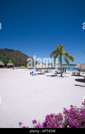Strand von Moorea Beachcomber Hotel Moorea Französisch-Polynesien Stockfoto