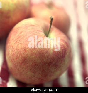 Äpfel aus einer Farm in New jersey Stockfoto