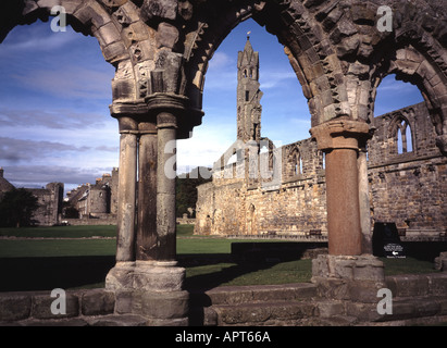 UK Schottland Fife St Andrews Cathedral Stockfoto