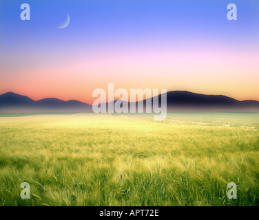 CH - Neuenburg: Landschaft und Jura in der Nähe von St. Imier Stockfoto