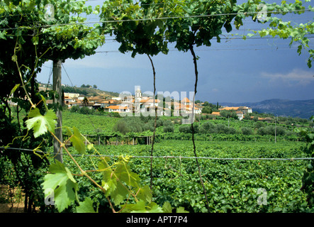 Portugal Wein Vino Verde Trauben vintage Stockfoto