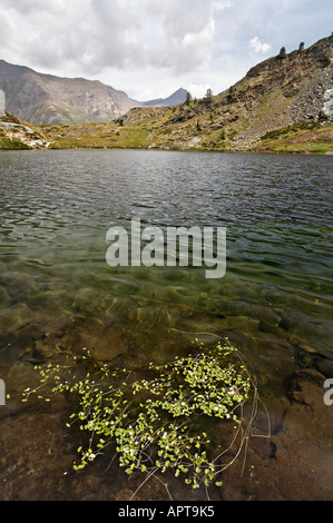 Linie 12 13G und 13 nach Lac Loie Gran Paradiso Nationalpark Italien Stockfoto