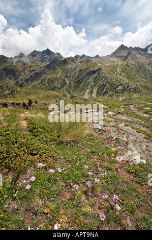Linie 12 13G und 13 nach Lac Loie Gran Paradiso Nationalpark Italien Stockfoto