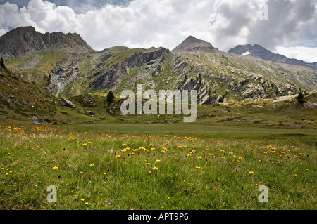 Linie 12 13G und 13 nach Lac Loie Gran Paradiso Nationalpark Italien Stockfoto