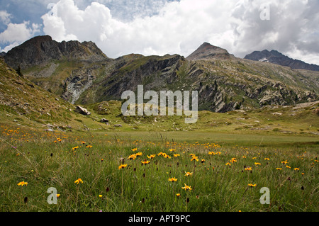 Linie 12 13G und 13 nach Lac Loie Gran Paradiso Nationalpark Italien Stockfoto