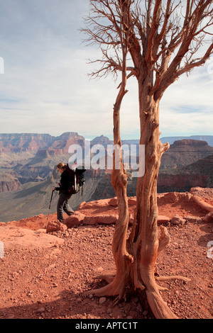 WEIBLICHE BACKPACKER WANDERN SOUTH KAIBAB TRAIL IN CEDAR RIDGE IM GRAND CANYON NATIONAL PARK ARIZONA USA Stockfoto