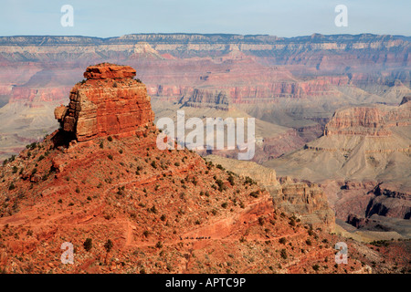 MAULTIER ZUG REITEN IN EINE ENTFERNUNG AM FUßE EINES BERGES AUF SOUTH KAIBAB TRAIL IN GRAND-CANYON-NATIONALPARK ARIZONA USA Stockfoto