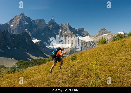 Wanderer am Goodsir Pass Mount Goodsir 3567m 11 703 im Hintergrund Kootenay Nationalpark in British Columbia Kanada Stockfoto