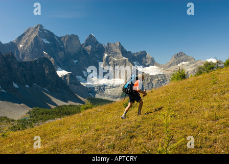 Wanderer am Goodsir Pass Mount Goodsir 3567m 11 703 im Hintergrund Kootenay Nationalpark in British Columbia Kanada Stockfoto