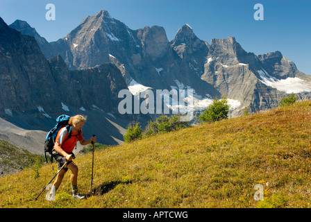 Wanderer am Goodsir Pass Mount Goodsir 3567m 11 703 im Hintergrund Kootenay Nationalpark in British Columbia Kanada Stockfoto