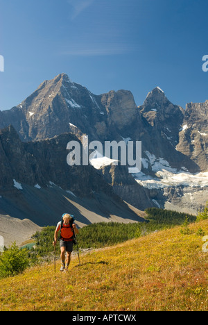 Wanderer am Goodsir Pass Mount Goodsir 3567m 11 703 im Hintergrund Kootenay Nationalpark in British Columbia Kanada Stockfoto