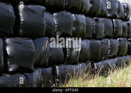 Ballen schrumpfen verpackt in schwarzem Polyethylen Stockfoto