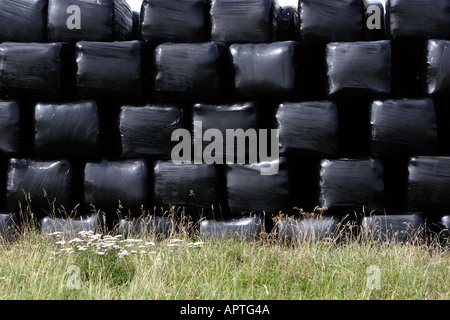 Ballen schrumpfen verpackt in schwarzem Polyethylen Stockfoto