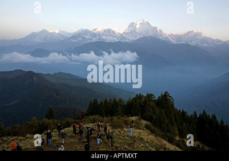Wanderer und Gipfel der Dhaulagiri (8167m) bei Sonnenaufgang. Poon Hill. Ghorepani Dorf. Annapurna Circuit Trek. Nepal Stockfoto