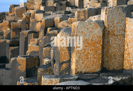 Basaltsäulen am Giants Causeway-Nordirland Stockfoto