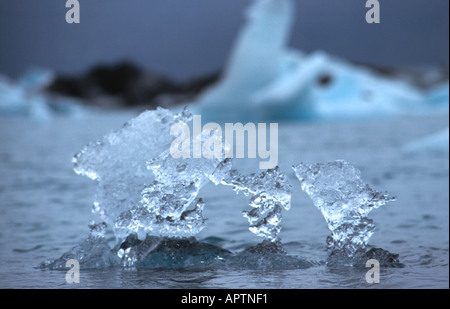 Filigrane Eisskulpturen in Wasser Island Stockfoto