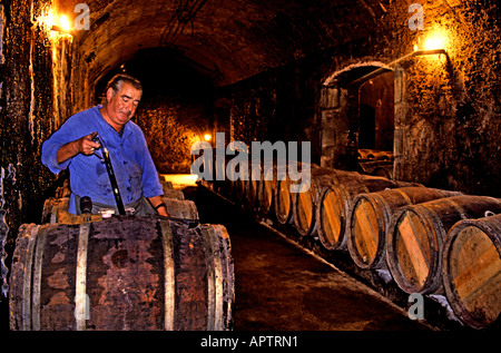 Pontet Canet Kellermeister Chateau Medoc Keller Fass Wein Abfüller Produktion Stockfoto