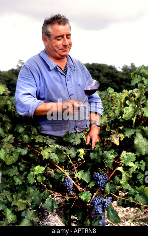 Pontet Canet Kellermeister Chateau Medoc Keller Fass Wein Abfüller Produktion Stockfoto