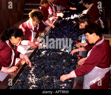 Pontet Canet Chateau Medoc Keller Fass Wein Abfüller Produktion Stockfoto