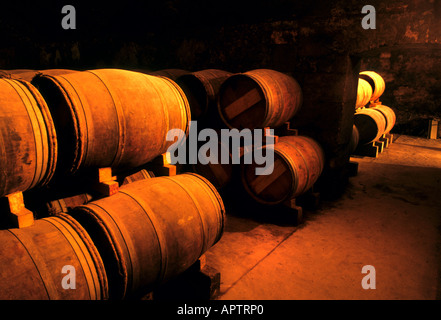 Pontet Canet Bordeaux Chateau Medoc Keller Fass Wein Abfüller Produktion Stockfoto