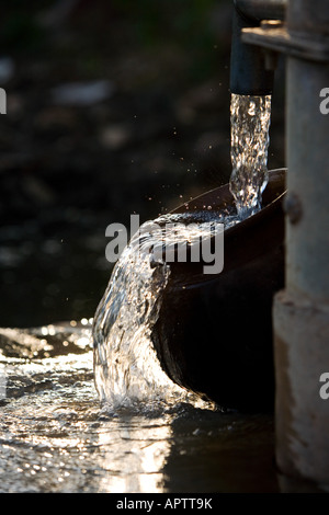 Füllen eine indische Tontopf mit sauberem Süßwasser eine Handpumpe Wasser in der indischen Landschaft. Andhra Pradesh, Indien Stockfoto