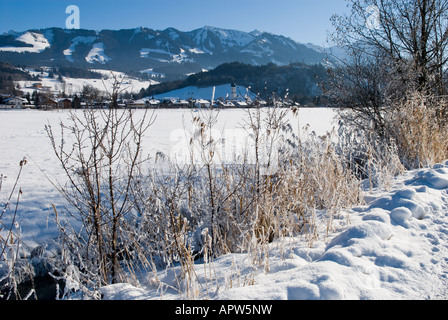 Winterlandschaft, zwischen Altstaedten und Fischen Oberallgaeu Bayern Deutschland Stockfoto