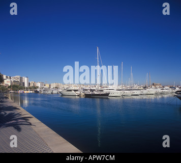 Luxus-Boote und Yachten ankern in der Marina Port de Mallorca am Paseo Maritimo in Palma De Mallorca Balearen Spanien. Stockfoto