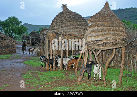 Toposa Dorf in Regen, garner Schafe unter Korn Stockfoto