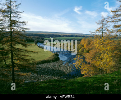 Herbstliche Ansicht, River Tees in der Nähe von Holwick, obere Teesdale, oben Middleton-in-Teesdale, North Pennines, County Durham, England, UK. Stockfoto