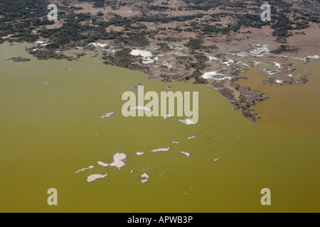 Luftaufnahmen von Lake Baringo, Nistplatz Tausender Pelikane, Rift Valley in Kenia, Afrika Stockfoto