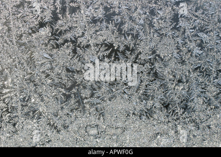 Eis-Mustern, die auf eine Glasscheibe Fenster gebildet Stockfoto