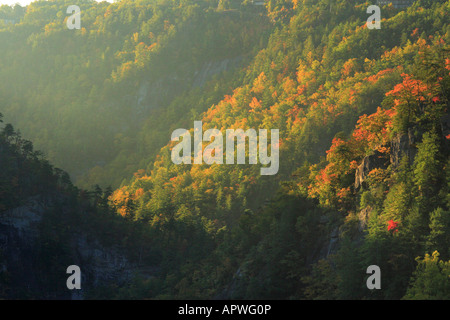 Sunrise, Tallulah Schlucht Staatspark, Tallulah Falls, Georgia, USA Stockfoto