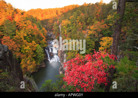 Sunrise, Tallulah Schlucht Staatspark, Tallulah Falls, Georgia, USA Stockfoto