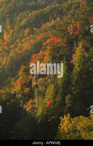 Sunrise, Tallulah Schlucht Staatspark, Tallulah Falls, Georgia, USA Stockfoto