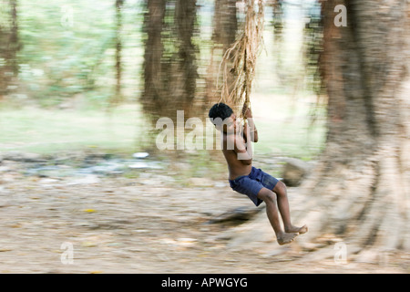 Indianerjunge geschwungen von den Luftwurzeln der Banyan-Baum in der Landschaft. Andhra Pradesh, Indien Stockfoto