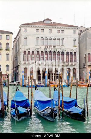 VENEDIG, Italien – Gondeln, die entlang eines Kanals vertäut sind und mit blauen Schutzplanen bedeckt sind. Die ikonischen venezianischen Boote ruhen Seite an Seite, ihre unverwechselbaren Ferrobuden sind unter den Deckeln sichtbar, mit historischen Gebäuden, die den Wasserweg im Hintergrund säumen. Stockfoto