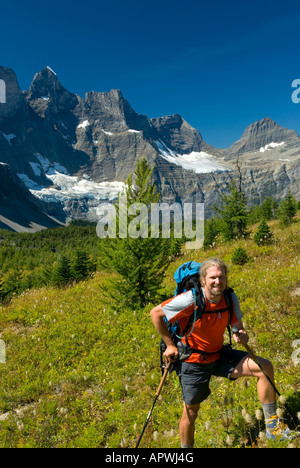 Wanderer am Goodsir Pass Mount Goodsir 3567m 11 703 im Hintergrund Kootenay Nationalpark in British Columbia Kanada Stockfoto