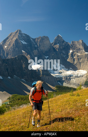 Wanderer am Goodsir Pass Mount Goodsir 3567m 11 703 im Hintergrund Kootenay Nationalpark in British Columbia Kanada Stockfoto