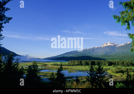 Columbia River Valley und Feuchtgebiete in der Nähe von Revelstoke, BC, Kanada Stockfoto