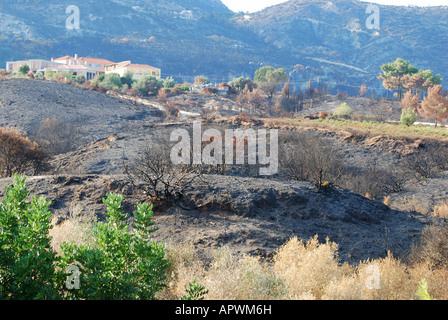 Ödland Kephalonia Nummer 2595 ausgebrannt Stockfoto