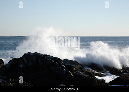 Fort Williams Park in den Wintermonaten befindet sich in Cape Elizabeth Maine USA Stockfoto