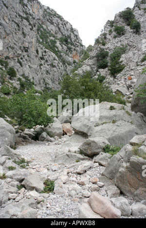 Mala Paklenica Canyon in Kroatien Stockfoto