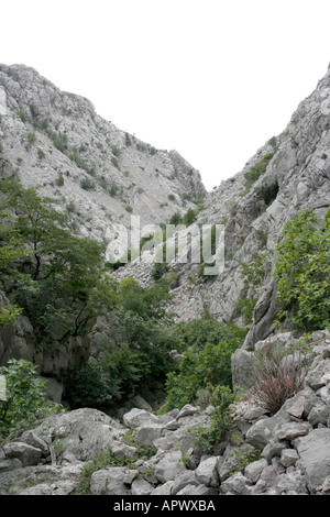 Mala Paklenica Canyon in Kroatien Stockfoto