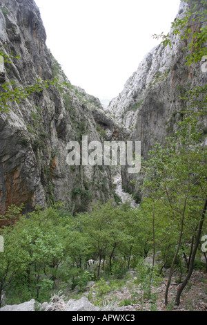 Mala Paklenica Canyon in Kroatien Stockfoto