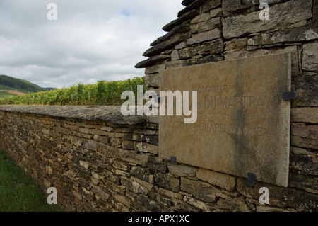 Domaine Bonneau du Martray Weingut Schild am Corton zwischen Pernand Vergelesses und Aloxe Corton, Burgund, Frankreich Stockfoto