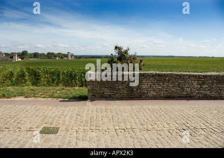 Weingut Domaine Lamarche Schild an Wand am Chateau Clos de Vougeot, Burgund, Frankreich Stockfoto